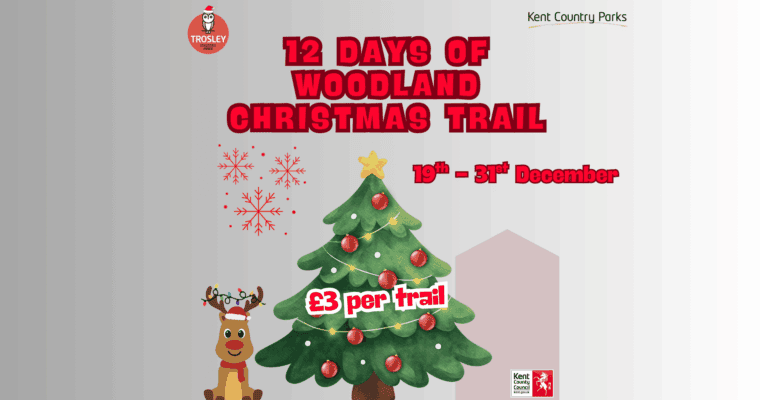 Poster for 12 Days of Woodland Christmas Trail at Trosley County Park.