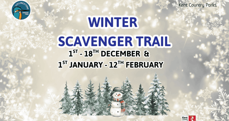 Poster for Winter Scavenger Trail at Lullingstone County Park.